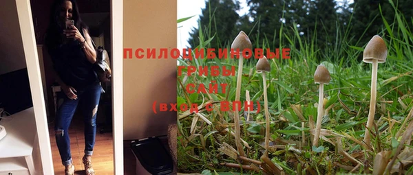 mdma Горнозаводск
