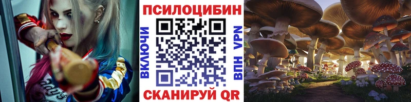Псилоцибиновые грибы Psilocybine cubensis  mega зеркало  Меленки 